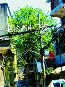 我的高中日志