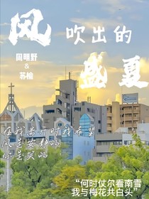 风吹出的盛夏