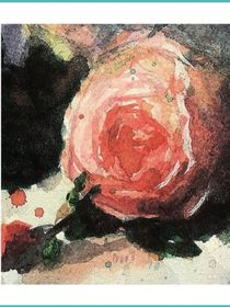 同人：野薔薇
