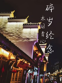 碎岁经念