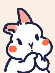 相伴盛夏