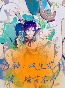 原神：双生花开