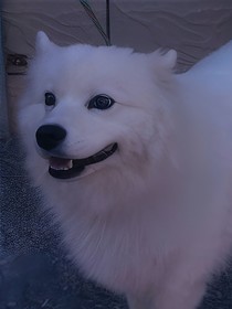 你不是唯一