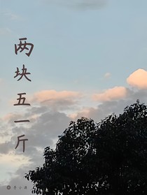 兩塊五一斤