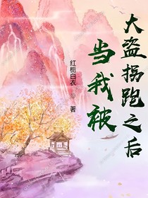 当我被大盗拐跑之后