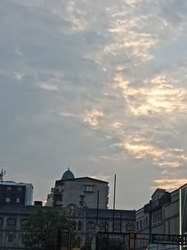 赌约：威尼