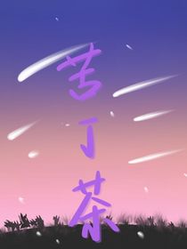 苦丁茶