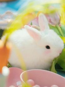 论暴走杀死朋友后该怎么办