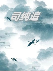 司纯追