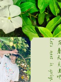 TNT：在春天见面