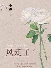 风走了