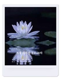 為愛而墮落的神明