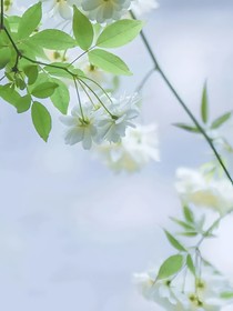 好久不见啊老同学