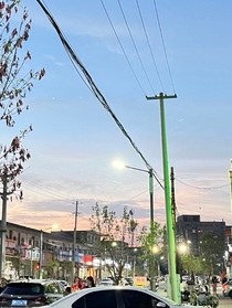 始于暮春戀于初夏