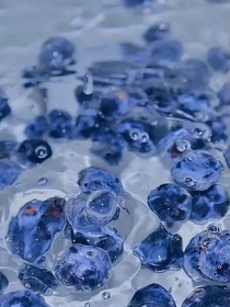叶罗丽：那朵花是我的