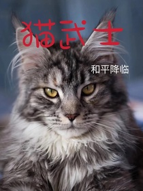 貓武士之和平降臨（原創(chuàng)）
