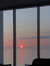 疯子的归属