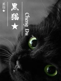 黑猫的心
