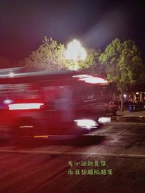 关于我懵懂的青春