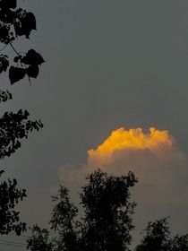 暗恋你青春