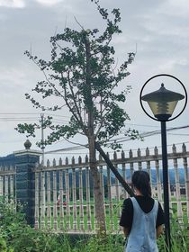 热烈而又勇敢的青春