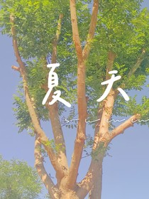 我同意就好