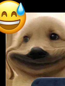 BALA的擺爛閑話