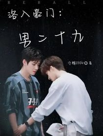 洛入豪门：男二十九
