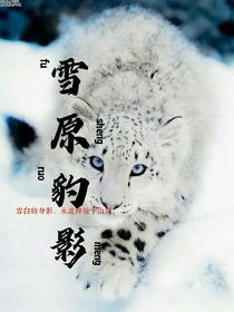 雪原豹影-d485