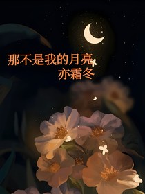 那不是我的月亮丶