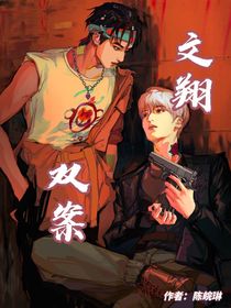 文翔双案