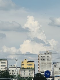 绿茶保姆（第一季）
