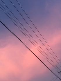 金：前世失去了你，这一世绝不辜负