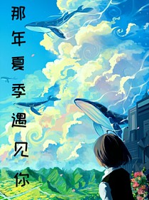 那年夏季遇见你