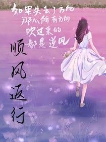 顺风返行