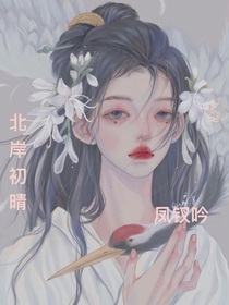 凤钗吟