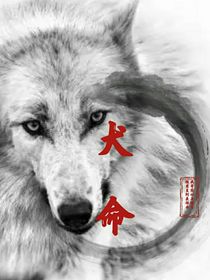 犬命-d283