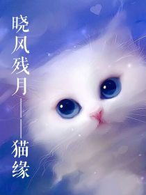 晓风残月——猫缘（番）