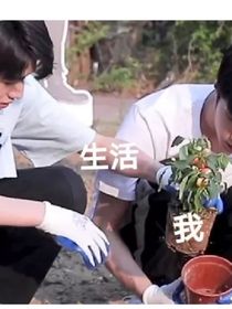 TF家族：团宠变团妻