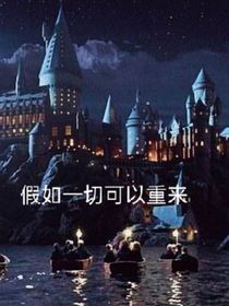 hp：假如一切重来