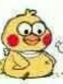 我愿意，死也可以