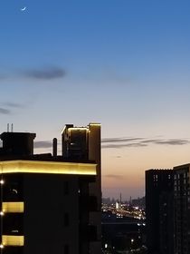 追赴