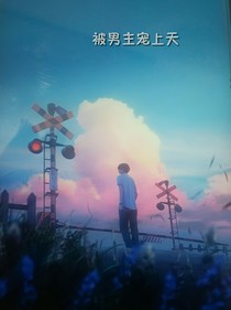 被男主宠上天