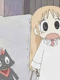 我的两年风华正茂