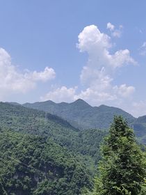 春天里的她们