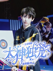 王者荣耀：大神独宠