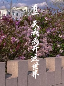 有一天我离开这世界