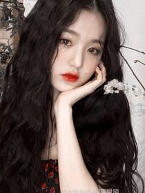 星汉灿烂：我的狐狸先生