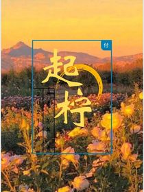 起檸-d511