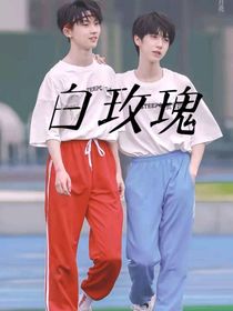 铿锵白玫瑰